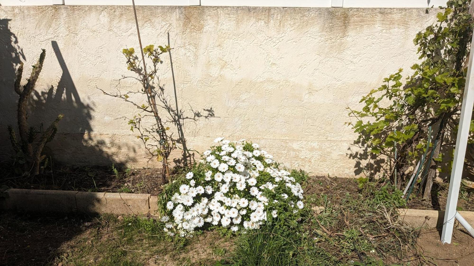 Maisonnette Kalis Calme Avec Climatisation Parking Jardin Cadre Campagne Plages A Pieds Bandol Dış mekan fotoğraf
